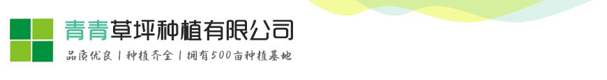 新宝GG平台-创新科技场景,让娱乐更有趣。